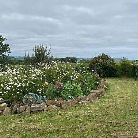 Wheelhouse - Grinkle Bell Cottage Saltburn-by-the-Sea Exteriör bild